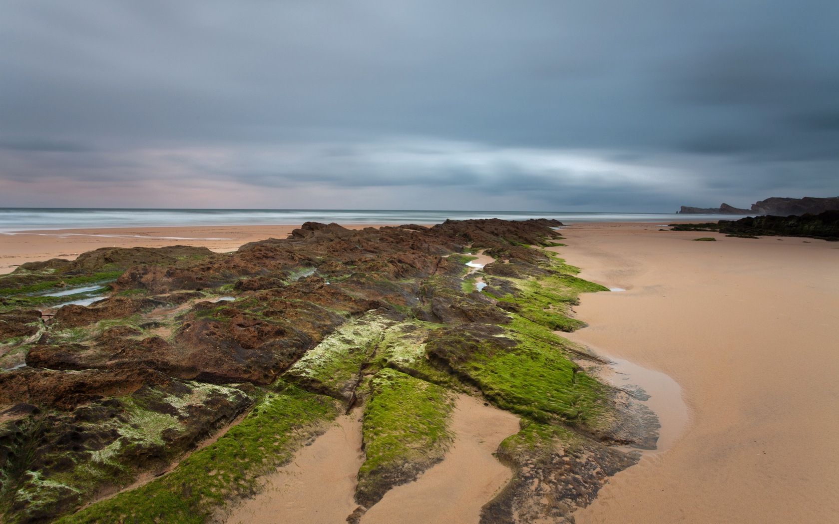 sand, plates, moss, coast, sea, cloudy