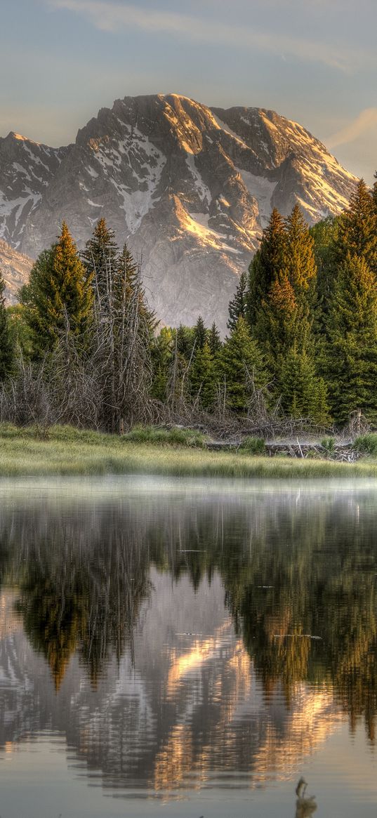 wood, fog, morning, mountains, reflection, colors