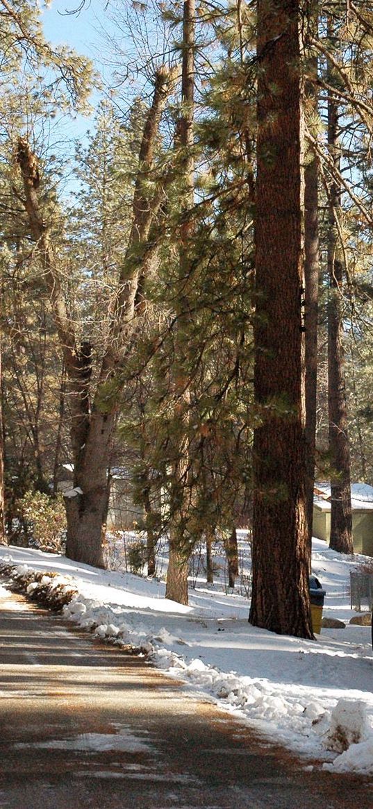 mountains, base of rest, wood, road, winter, cards