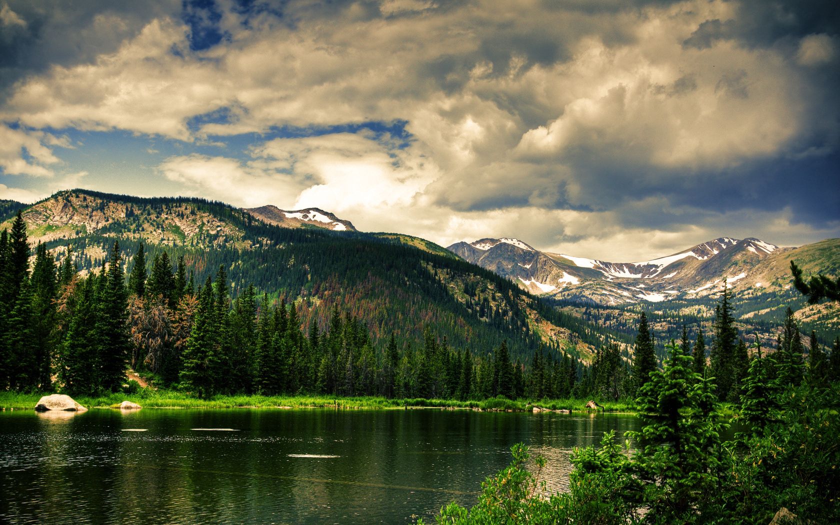 coniferous forest, mountains, height, greatness, green, landscape