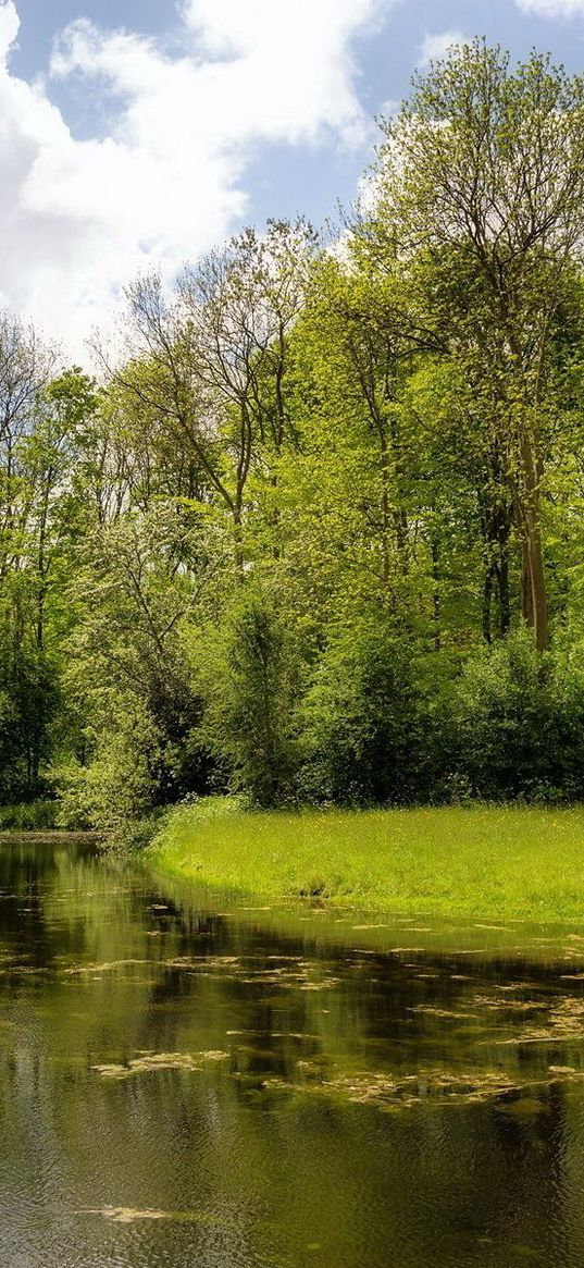 river, wood, lake, green, summer, day, reservoir