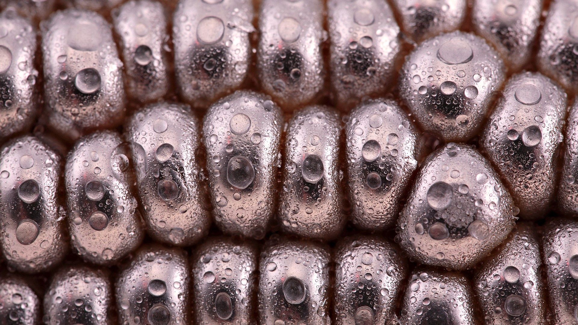 metal, shape, drops, green, wet