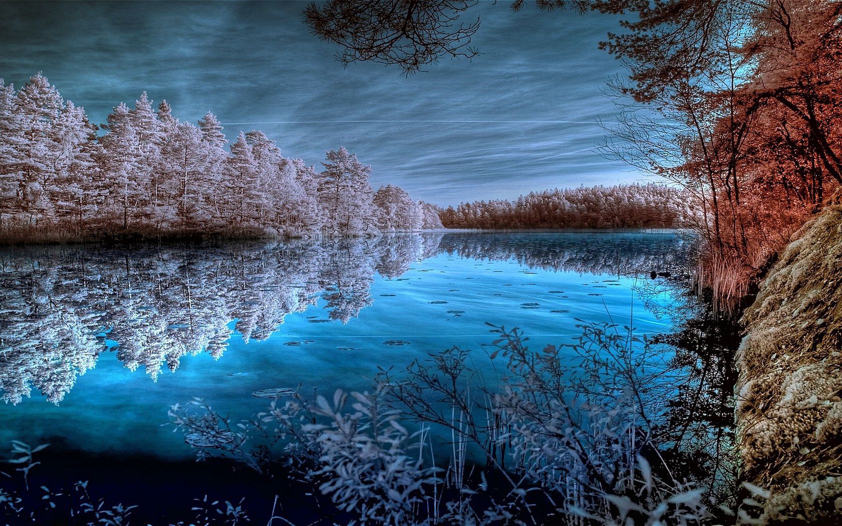 trees, hoarfrost, lake, colors, dark blue, white, shades, reflection, cold, frosts, sky