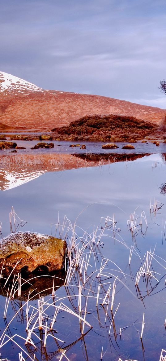 grass, autumn, lake, cloudy, reflection, stone, tree, landscape, cold