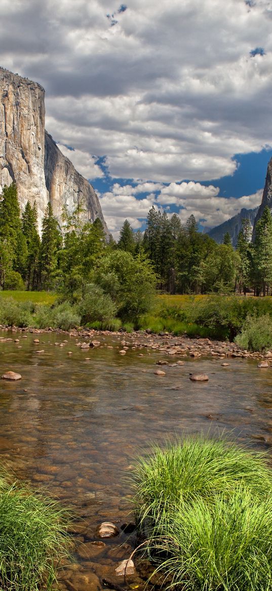 river, mountains, current, vegetation, wood, blue sky, landscape