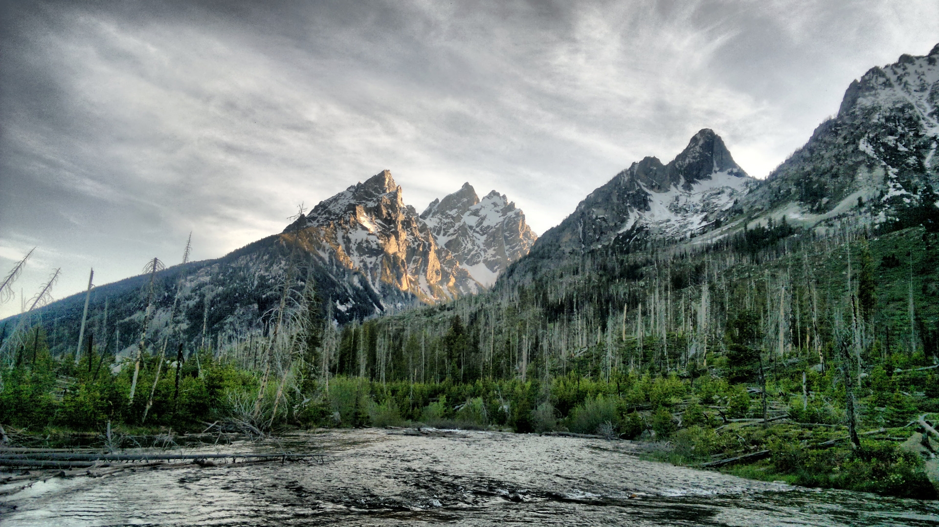 river, wood, mountains, trees, dead, colors