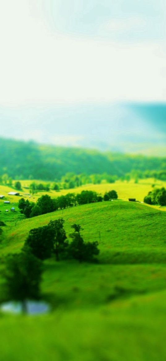 hills, fields, slopes, trees, greens, landscape, optical illusion