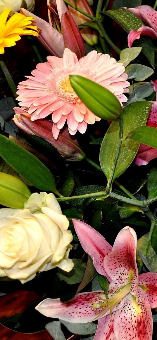 roses, gerberas, lilies, flower, leaf