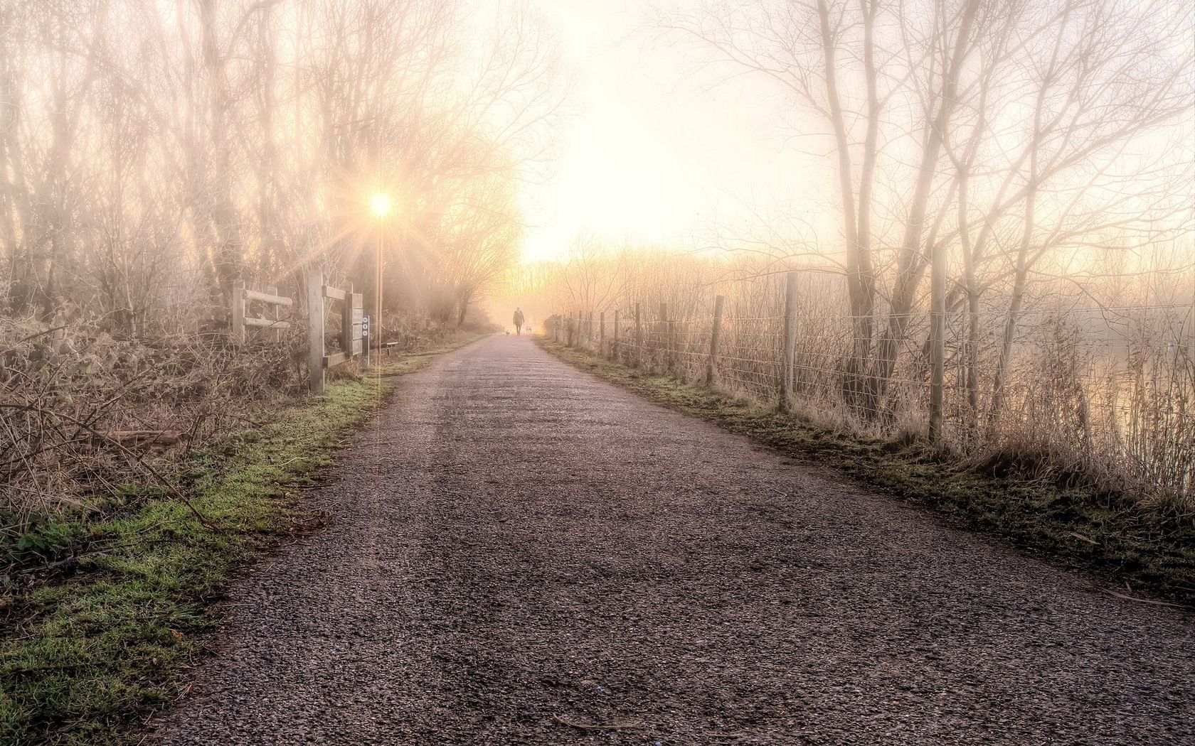 road, fog, light, person, silhouette