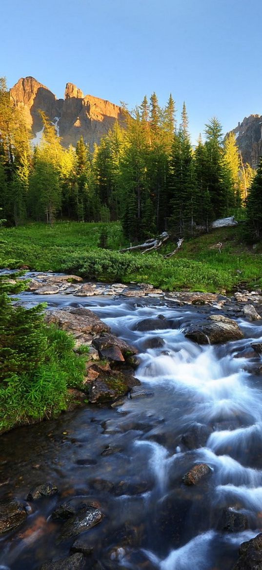 mountains, river, nature, trees, firs, landscape