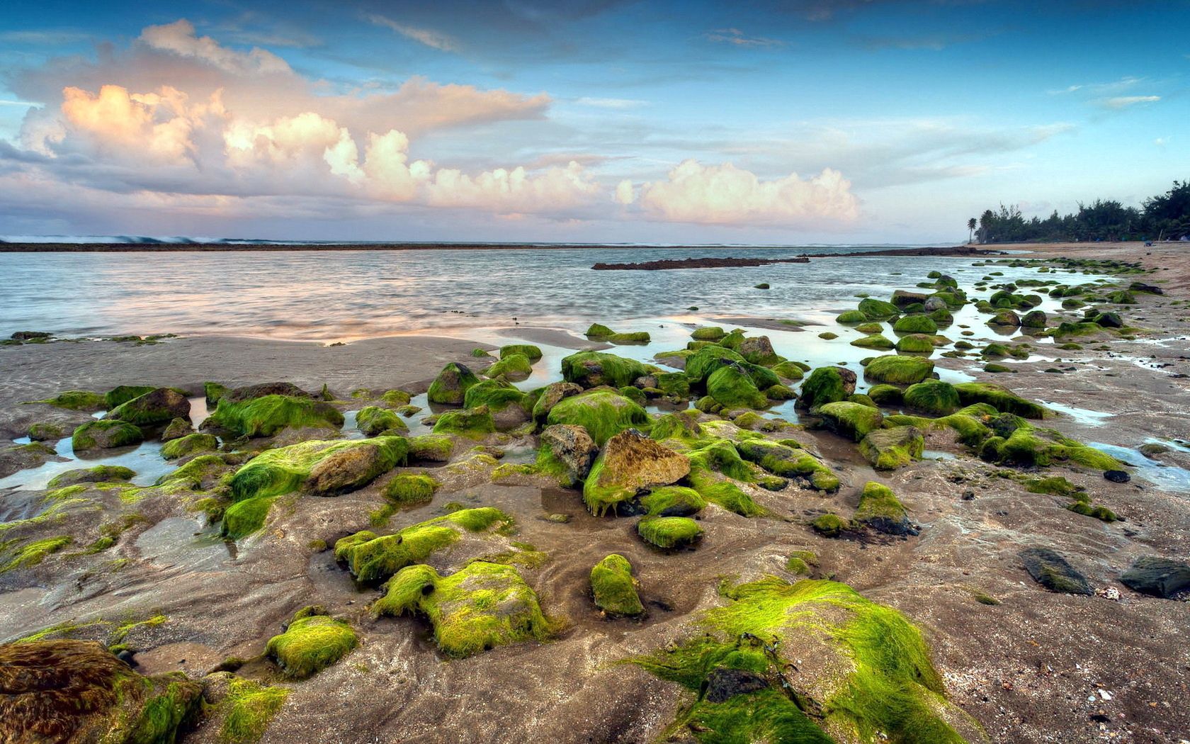 sea, sky, coast, stony, moss, vegetation, relief