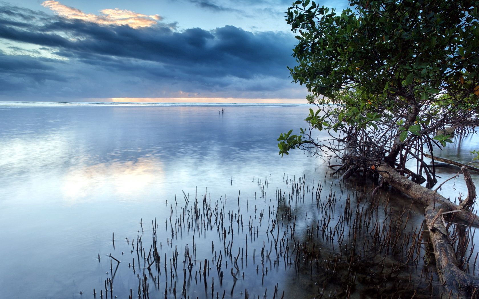 clouds, sea, surface of the water, grass, bushes, trees