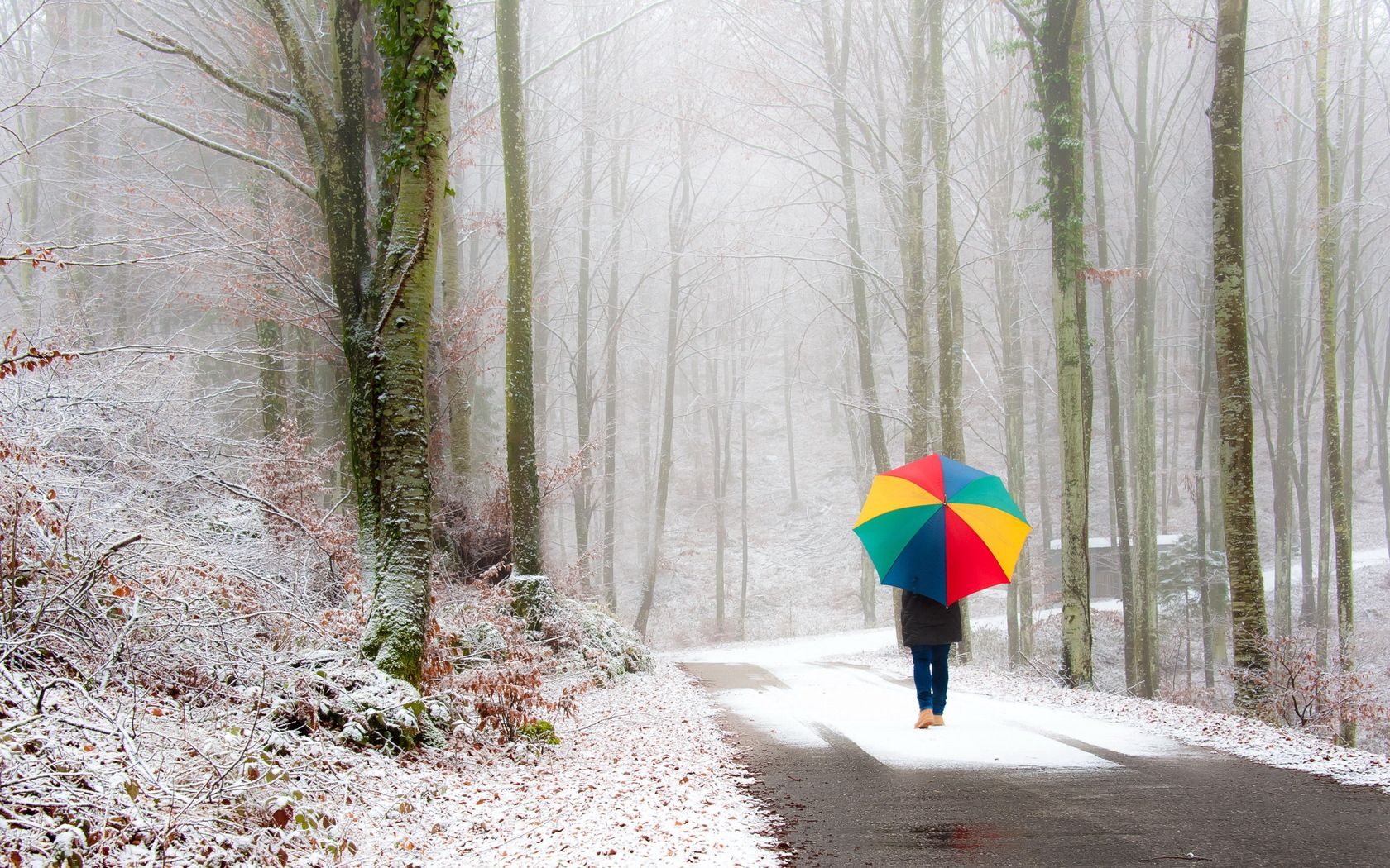 park, person, umbrella, snow, road, fog, walk