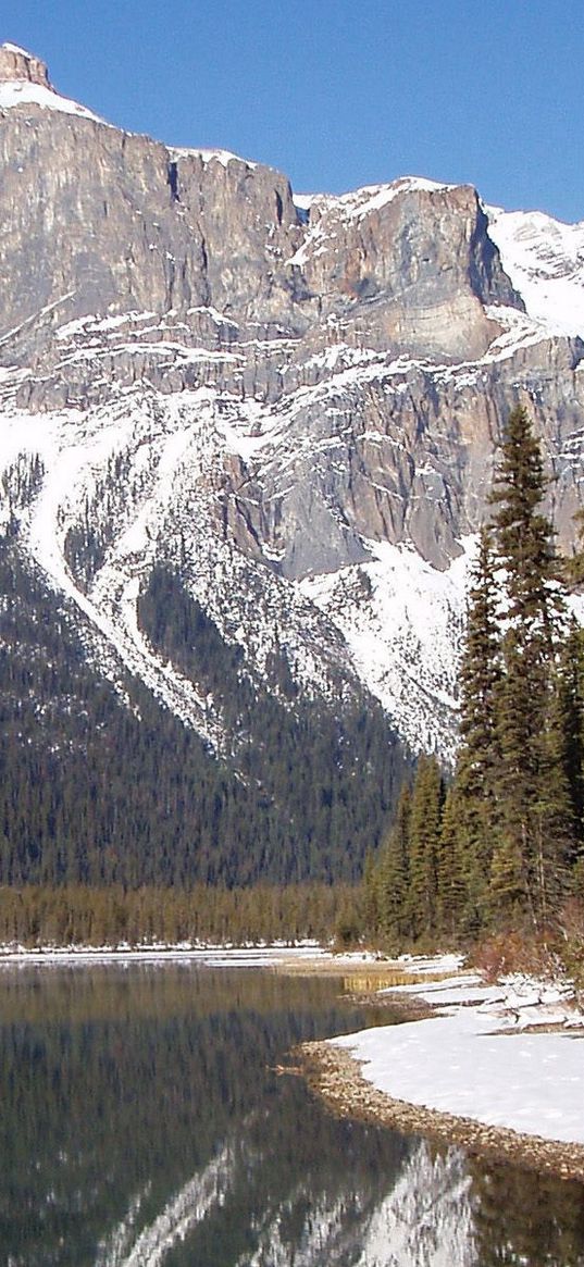 mountains, bottom, lake, wood