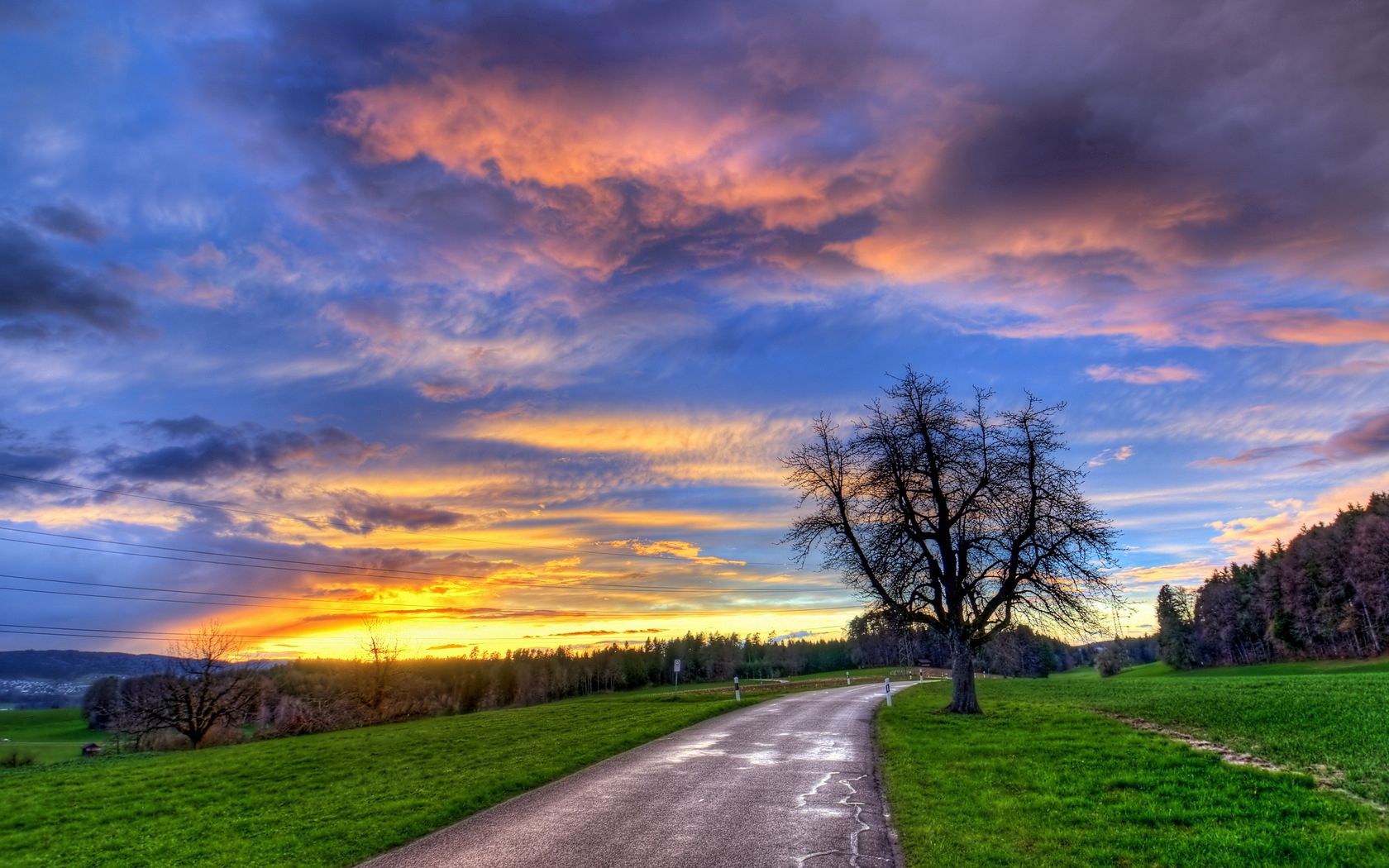 tree, road, turn, decline, silence