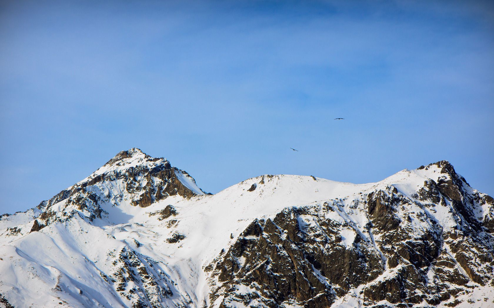 mountains, caucasus, snow, dombai, top, birds, height