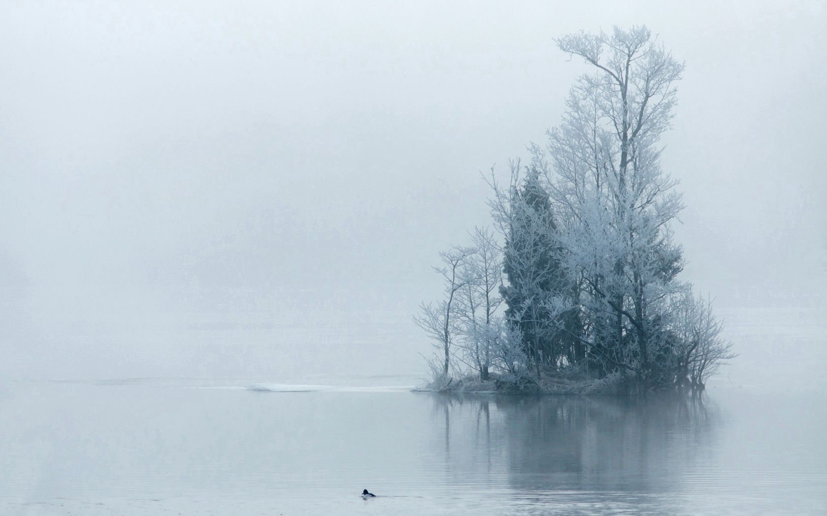 island, trees, hoarfrost, fog, morning, haze