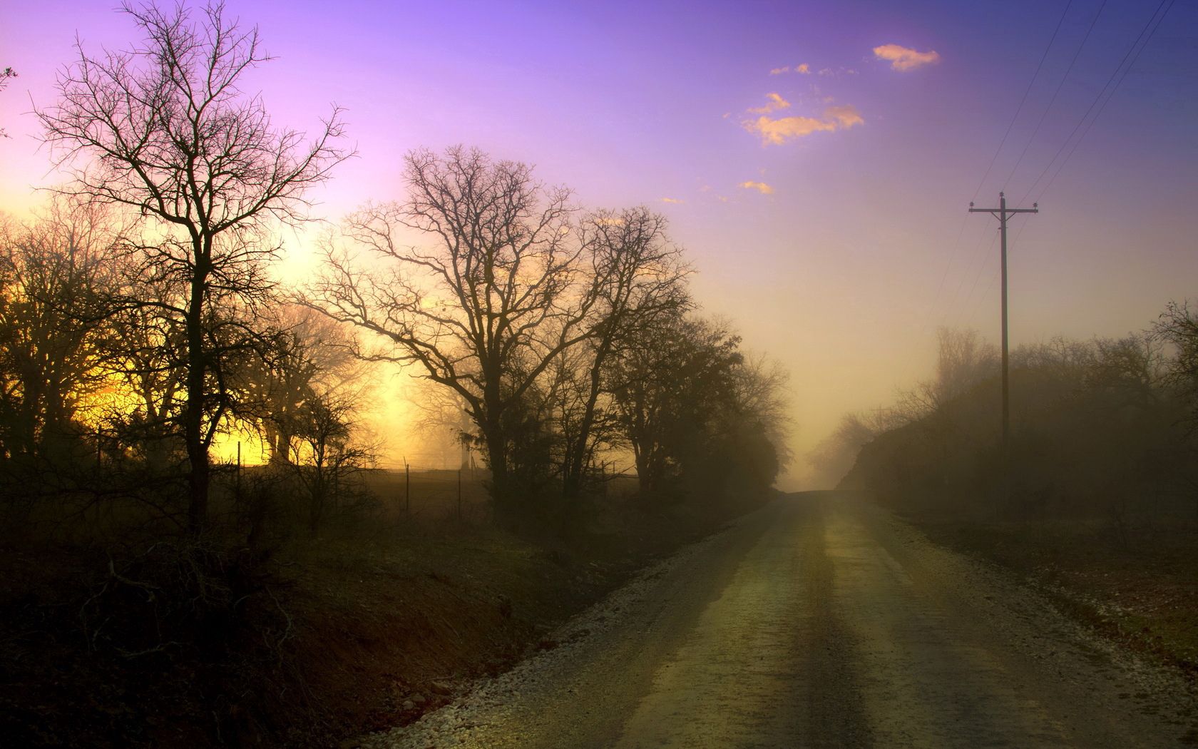 dawn, road, fog, trees, columns