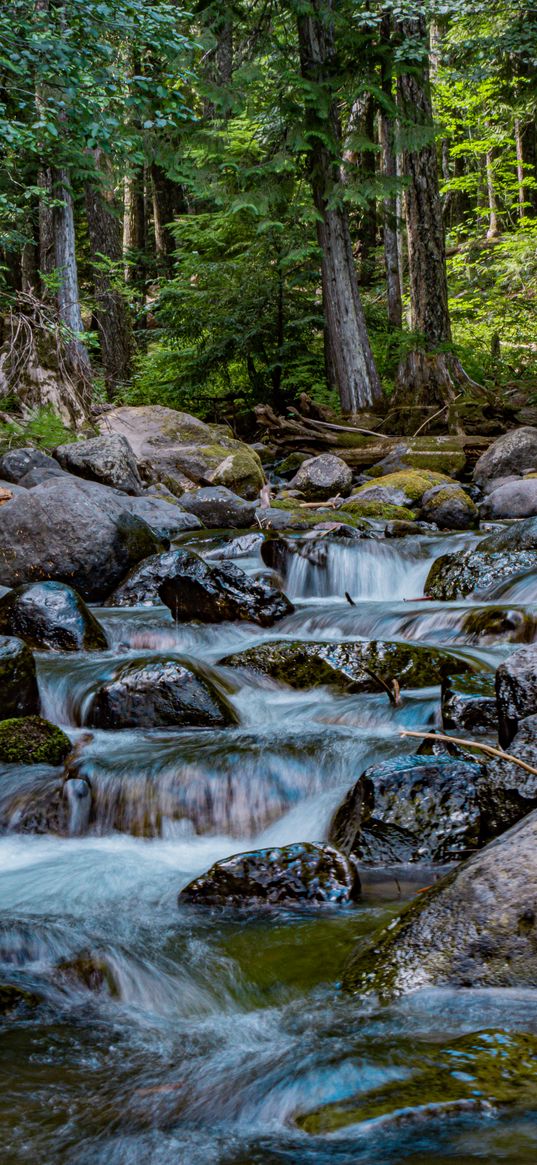 river, stones, cascade, trees, nature