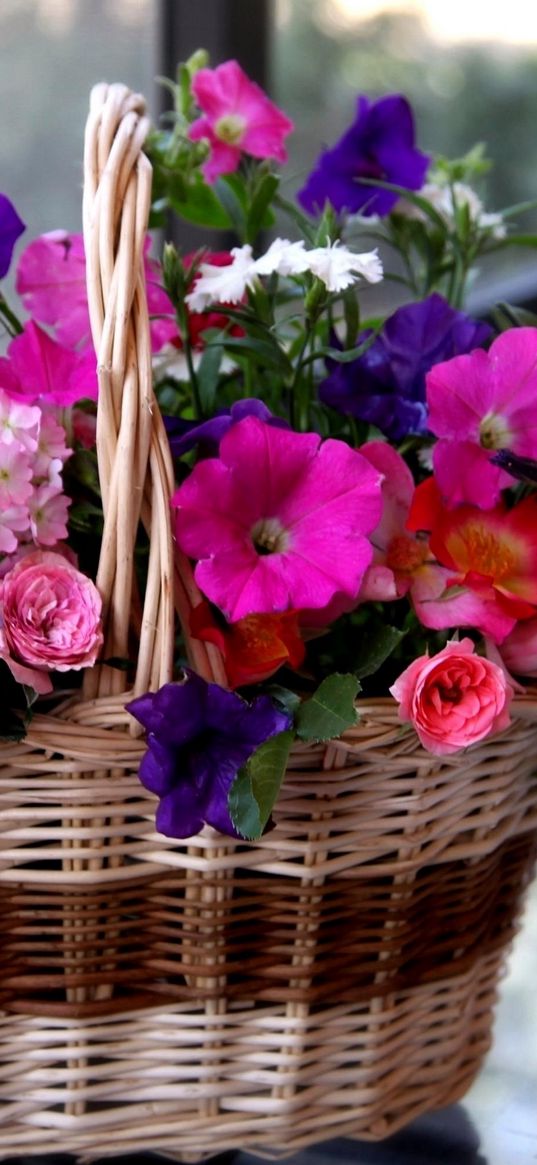 petunia, pansies, geraniums, roses, flowers, different, basket