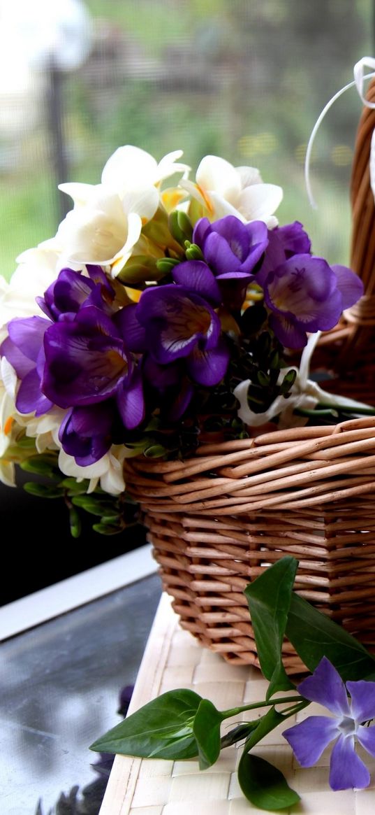 freesia, muscari, hyacinth, periwinkle, flowers, basket, heart