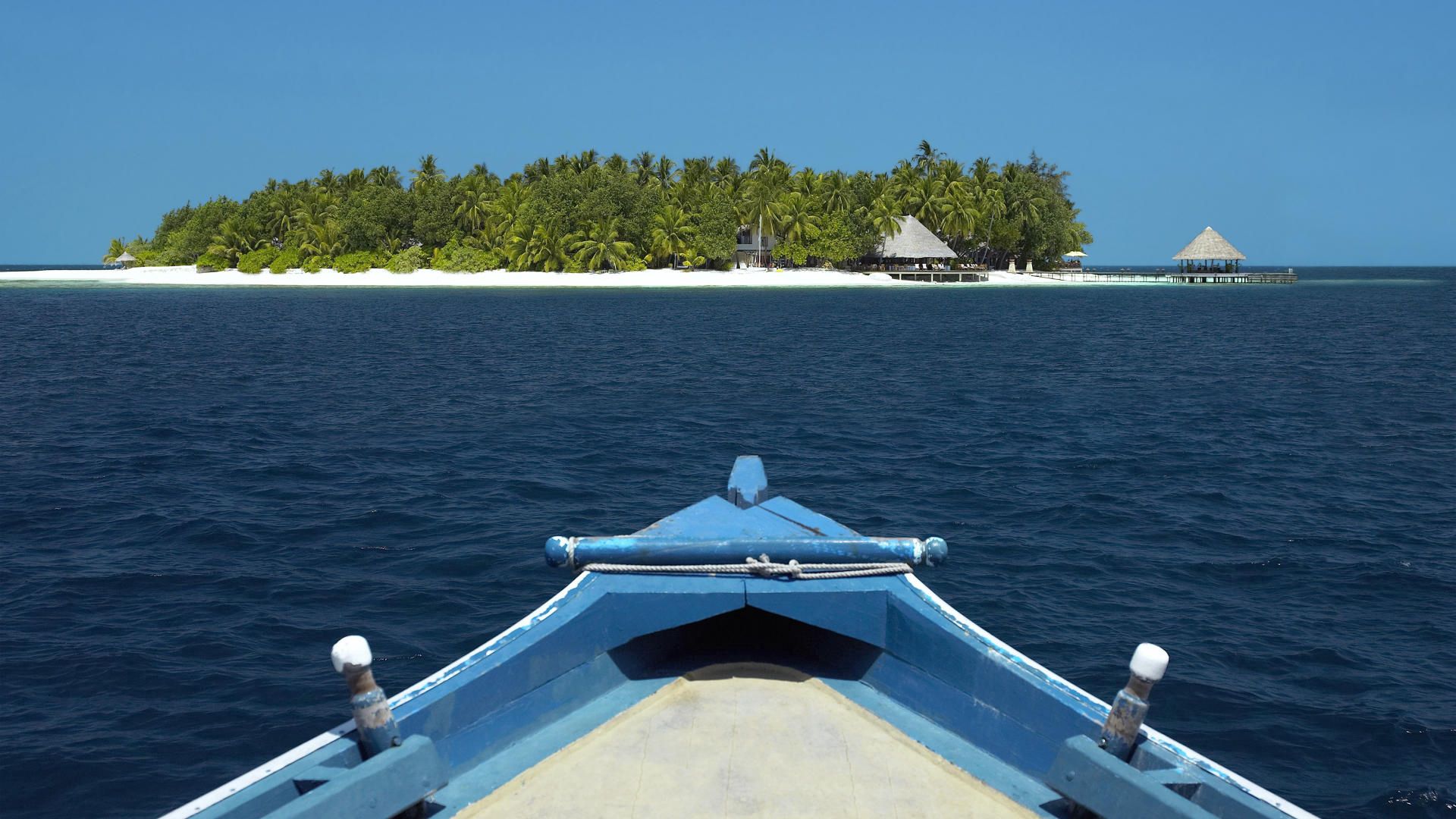 boat, island, ocean, palm trees