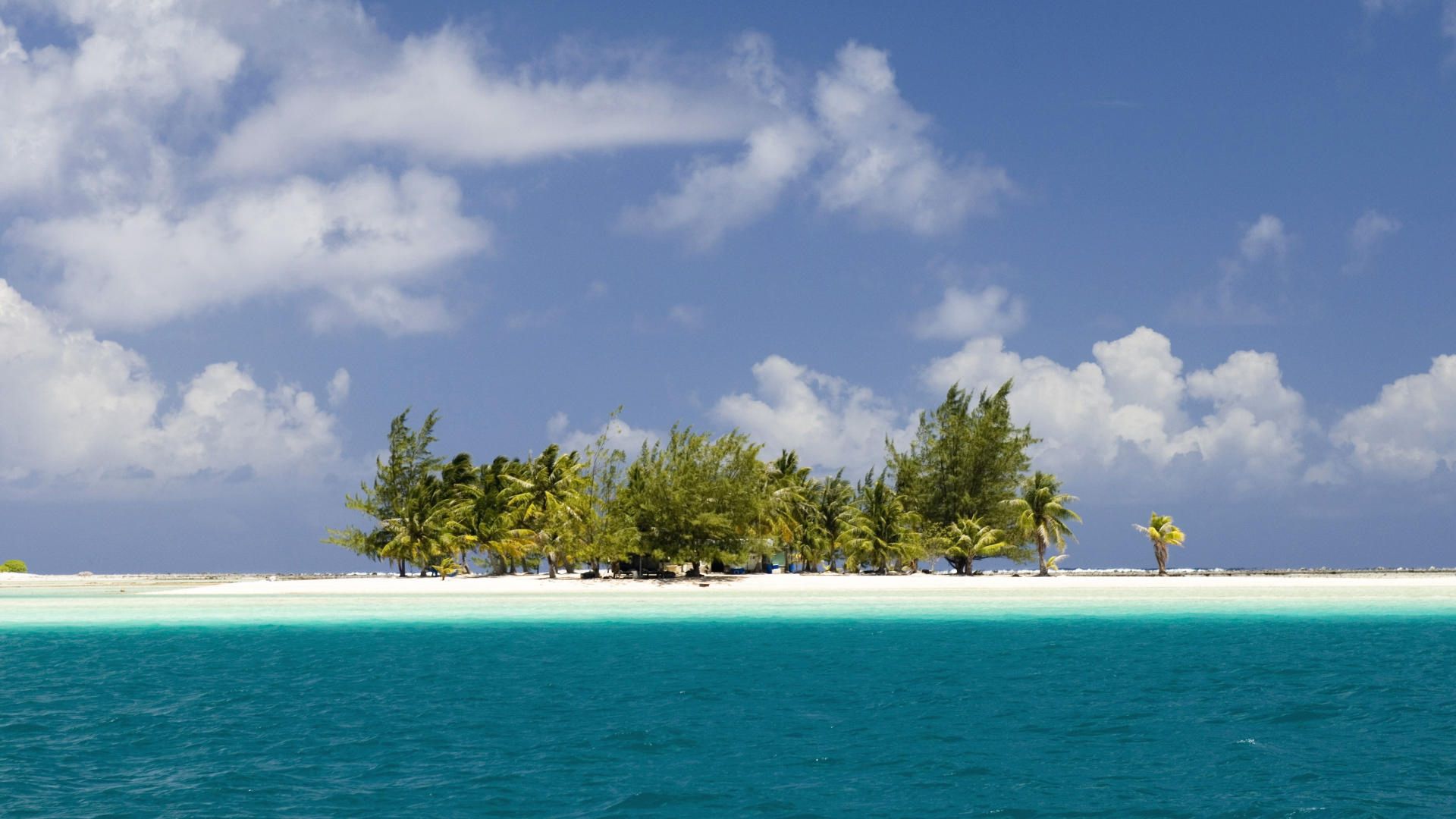 island, ocean, palm trees