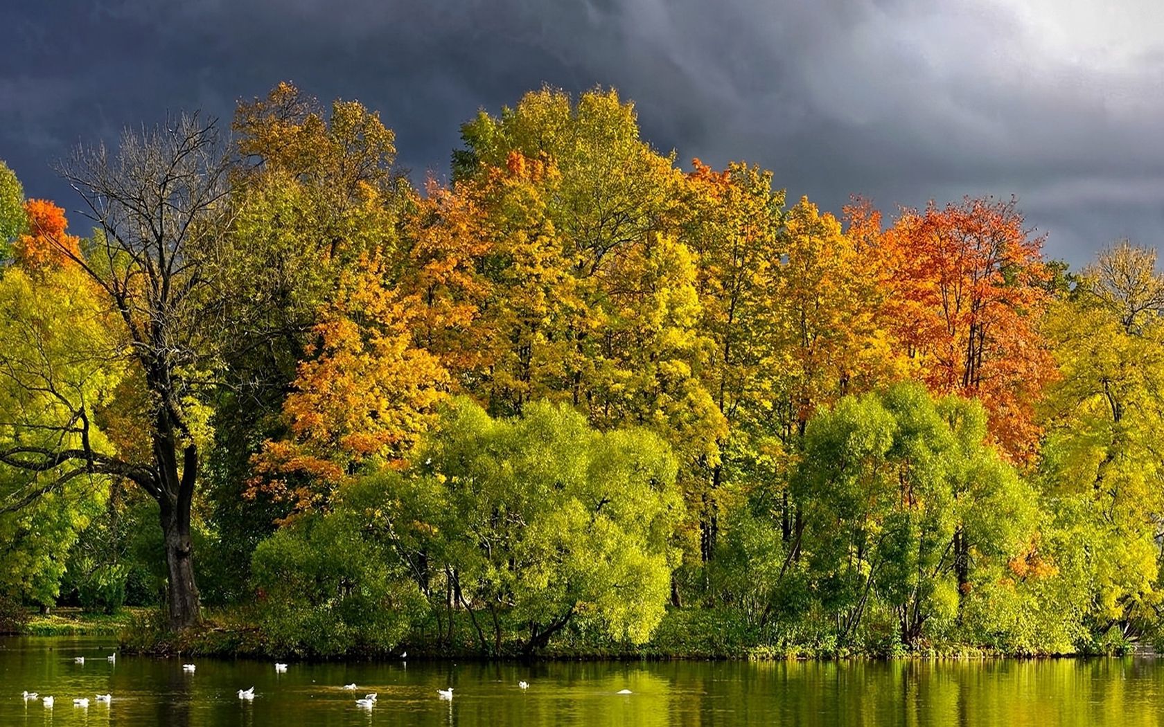 trees, lake, autumn, cloudy, clouds, coast, wefts