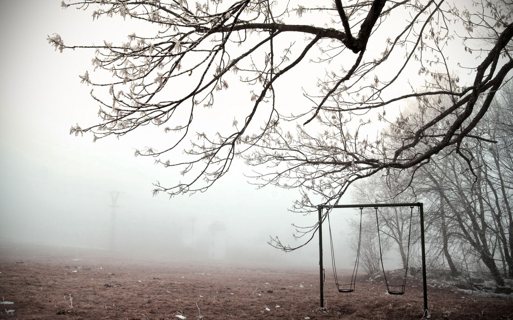 swing, tree, frosts, branches, ice, cold, emptiness, fog