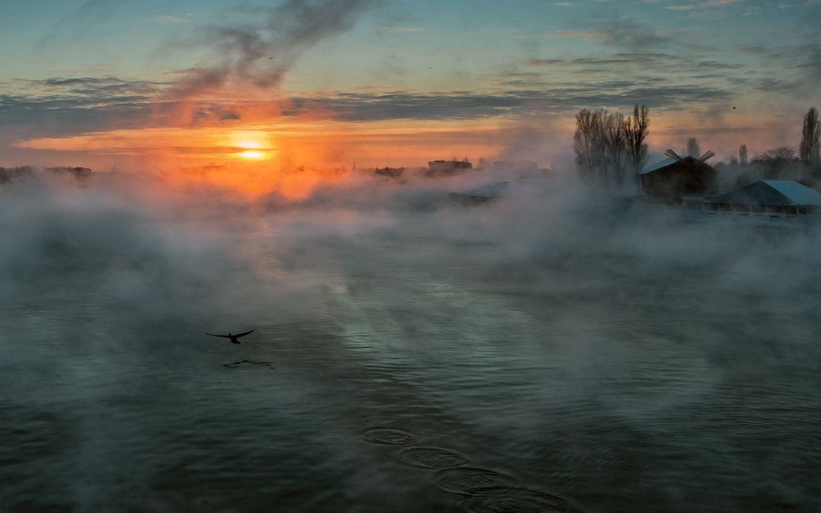 river, fog, sun, morning, haze, home, bird, weeds