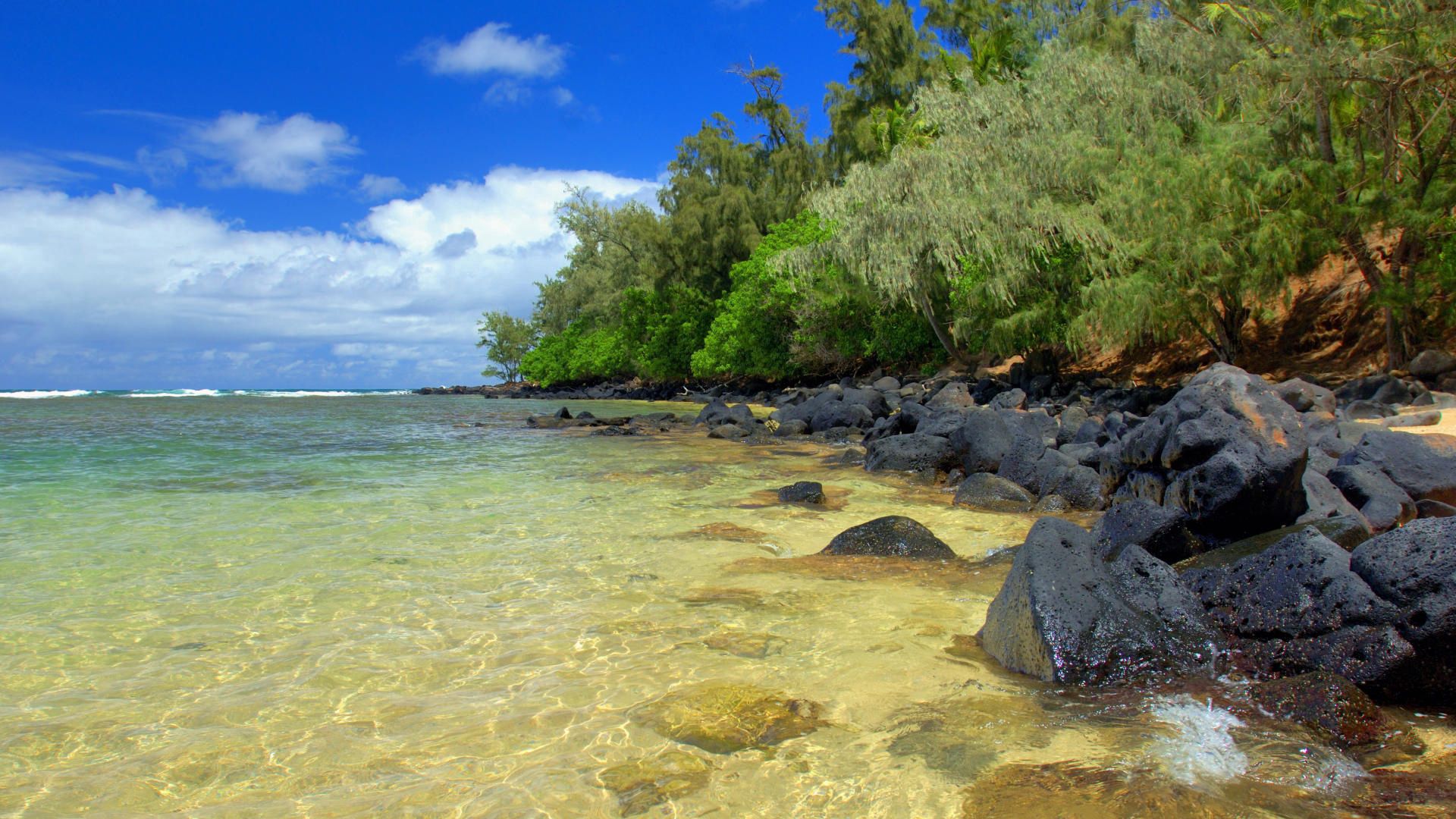 stones, water, transparent, protected, sand, trees, summer, heat