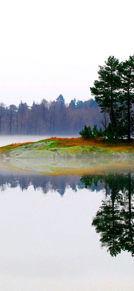 lake, morning, fog, trees, island, landscape