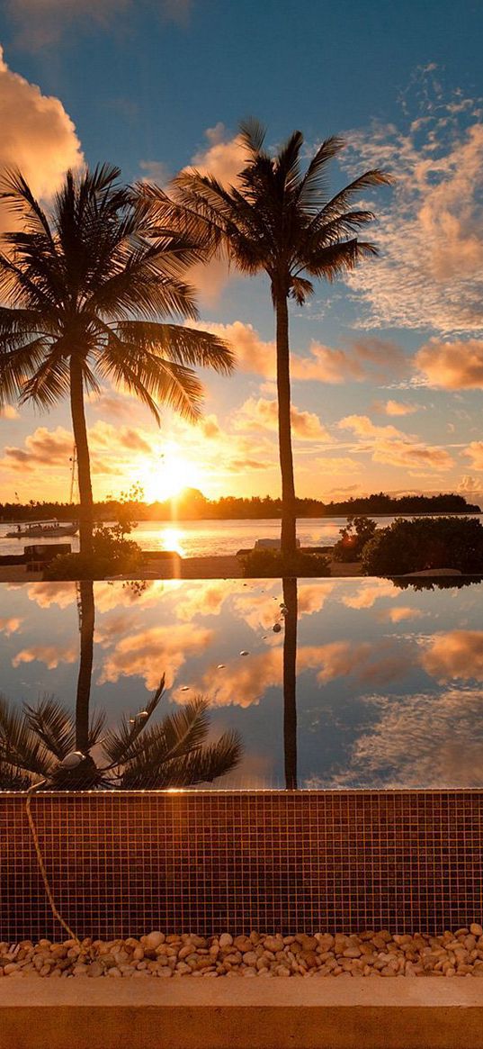 sea, palm trees, decline, bungalow, protection