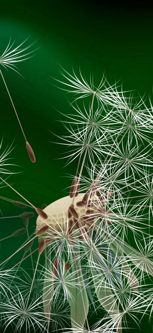 dandelion, fluff, fly, flower