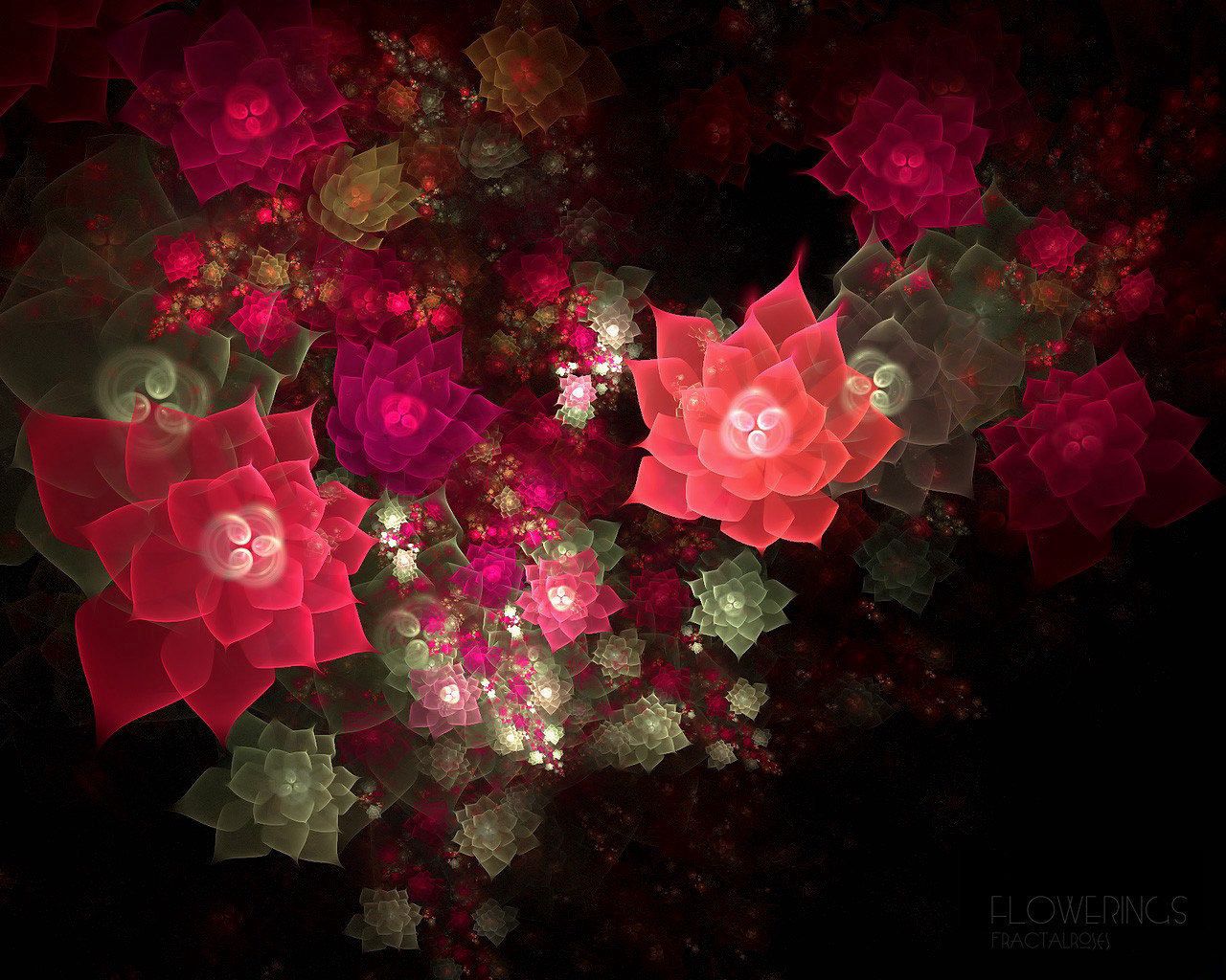 abstraction, fractal, flowers, pink, red