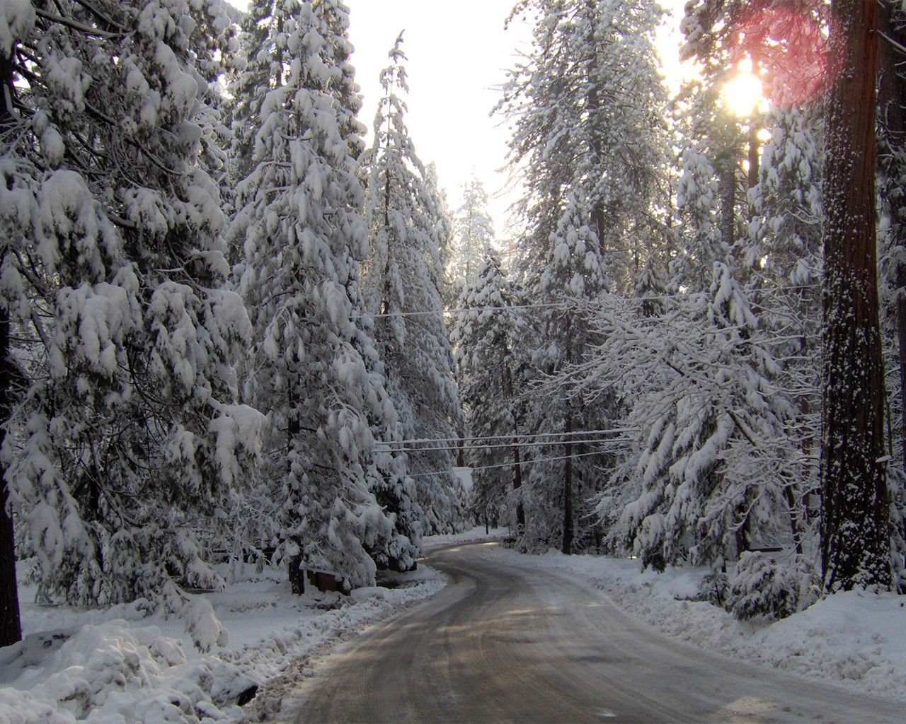 winter, road, snow, fur-trees