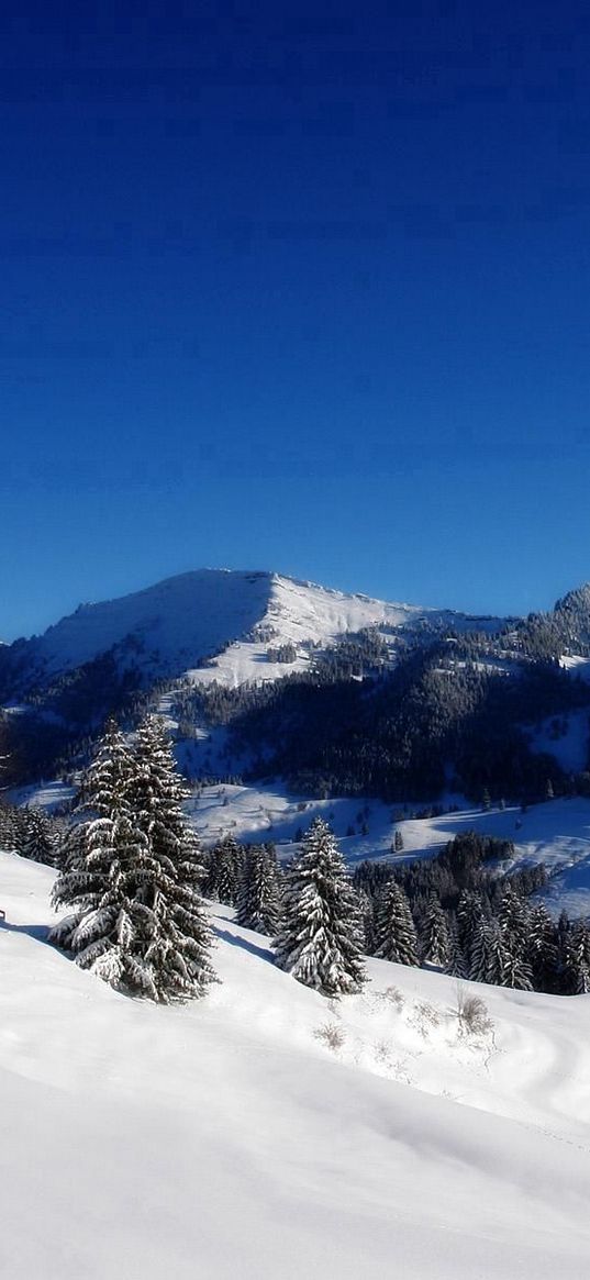 mountains, fur-trees, sky, winter, descent