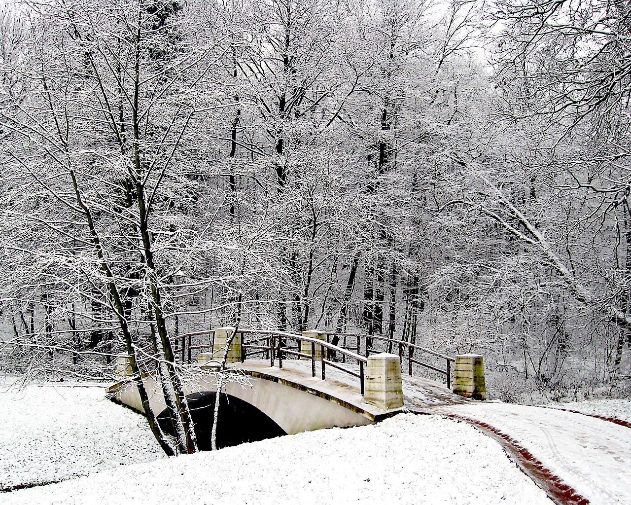 park, bridge, winter, snow, hoarfrost