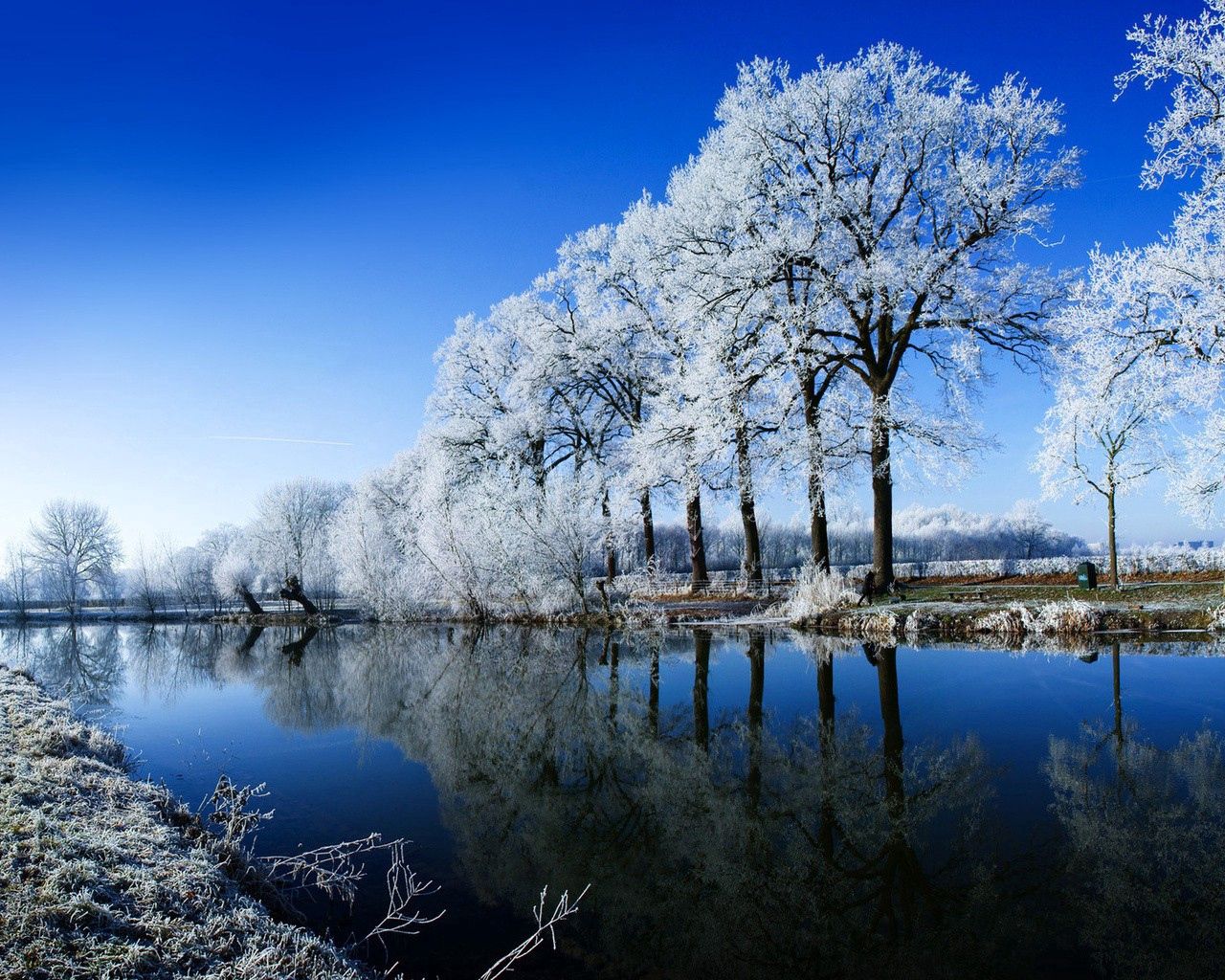 river, trees, hoarfrost, winter, reflection