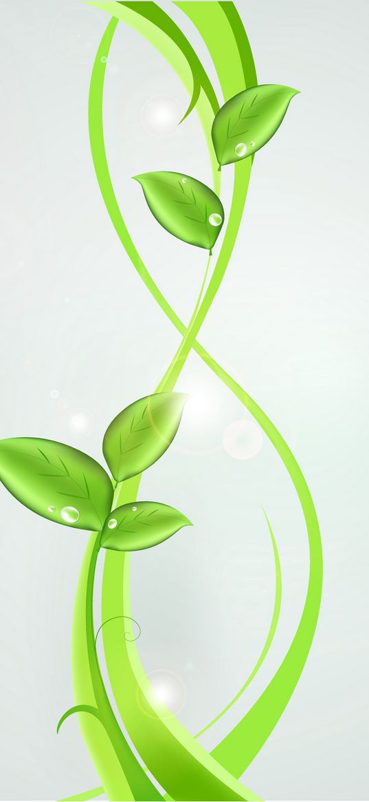 plants, green, abstract, leaves, patterns, bright, glare