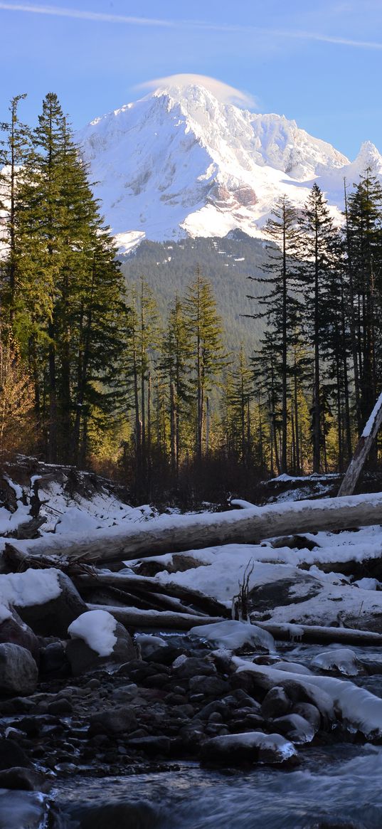 trees, mountain, snow, logs, stream