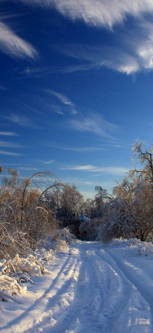 winter, snow, road, traces, bushes, trees, snowdrifts, clouds, sky clear