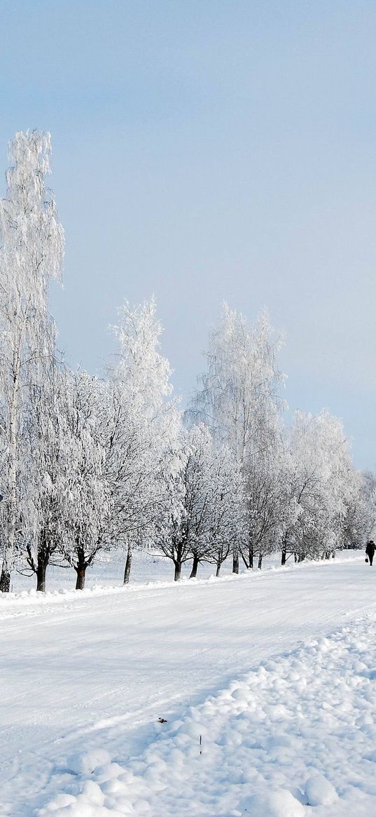 winter, snow, road, avenue, trees, person