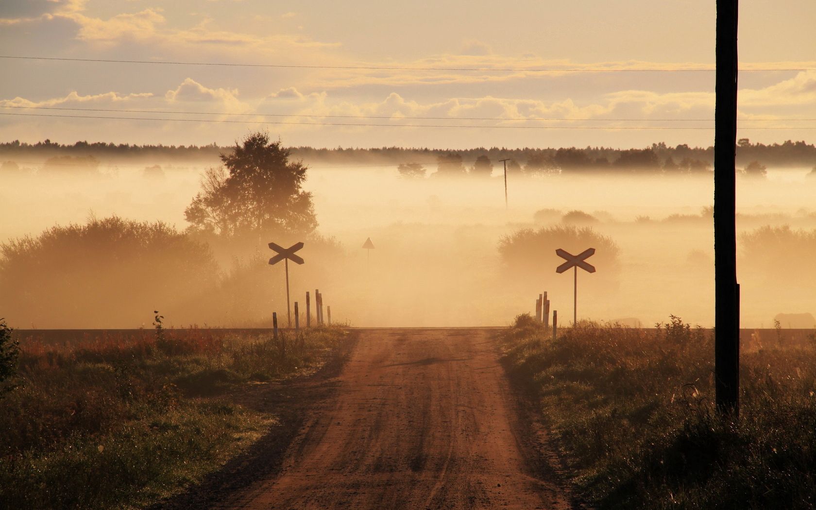 road, moving, fog, signs