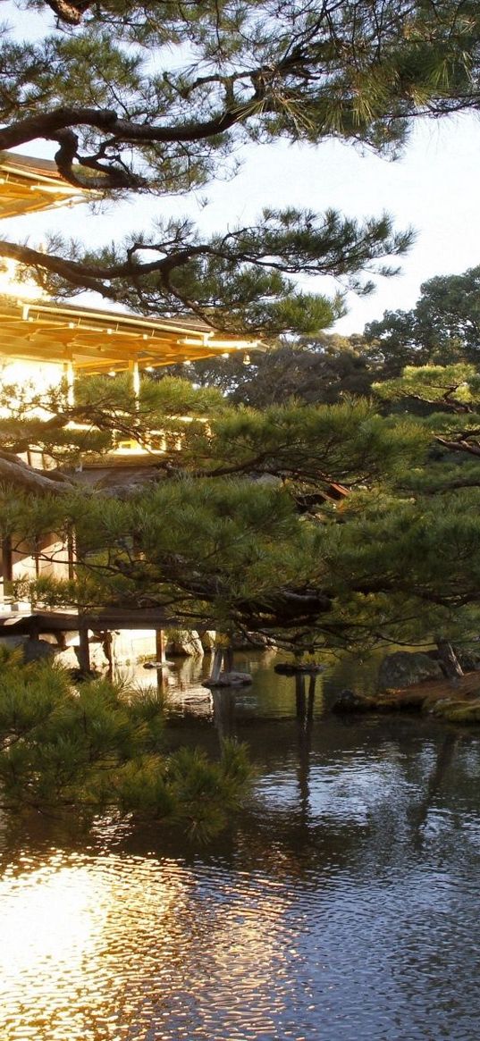 evening, japan, mansion, water, garden, trees