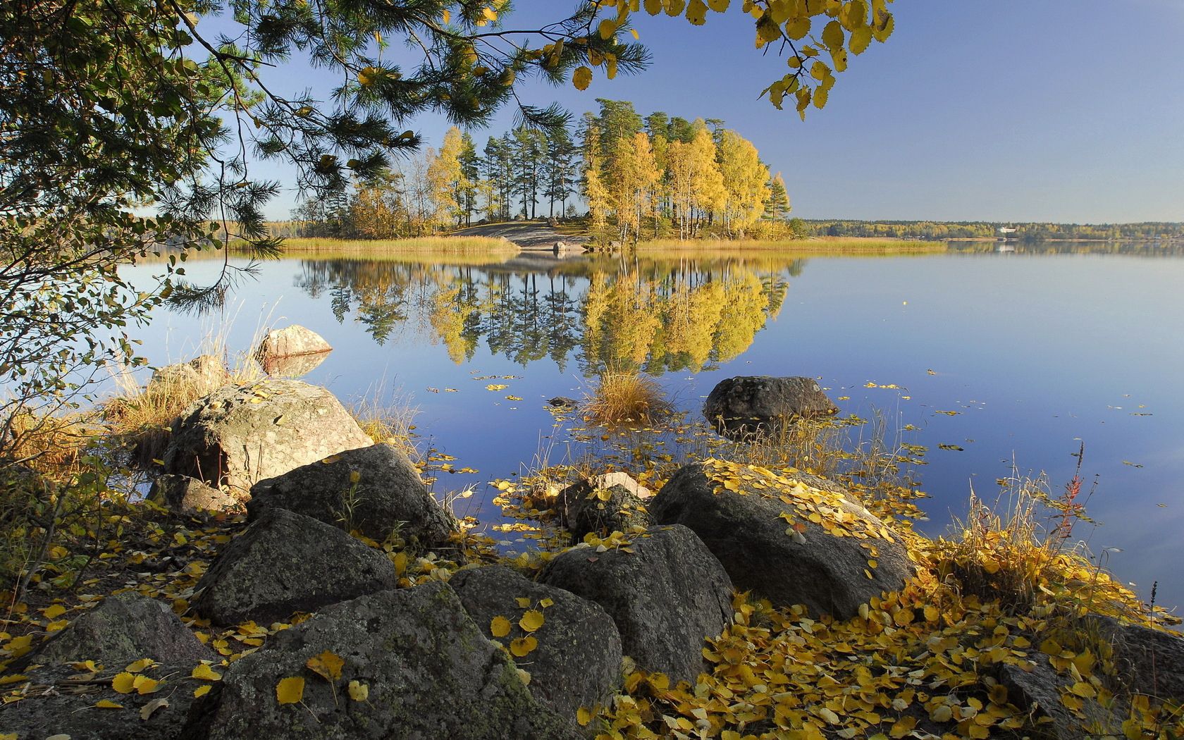 autumn, stones, trees, leaves, birches, lake, island, coast