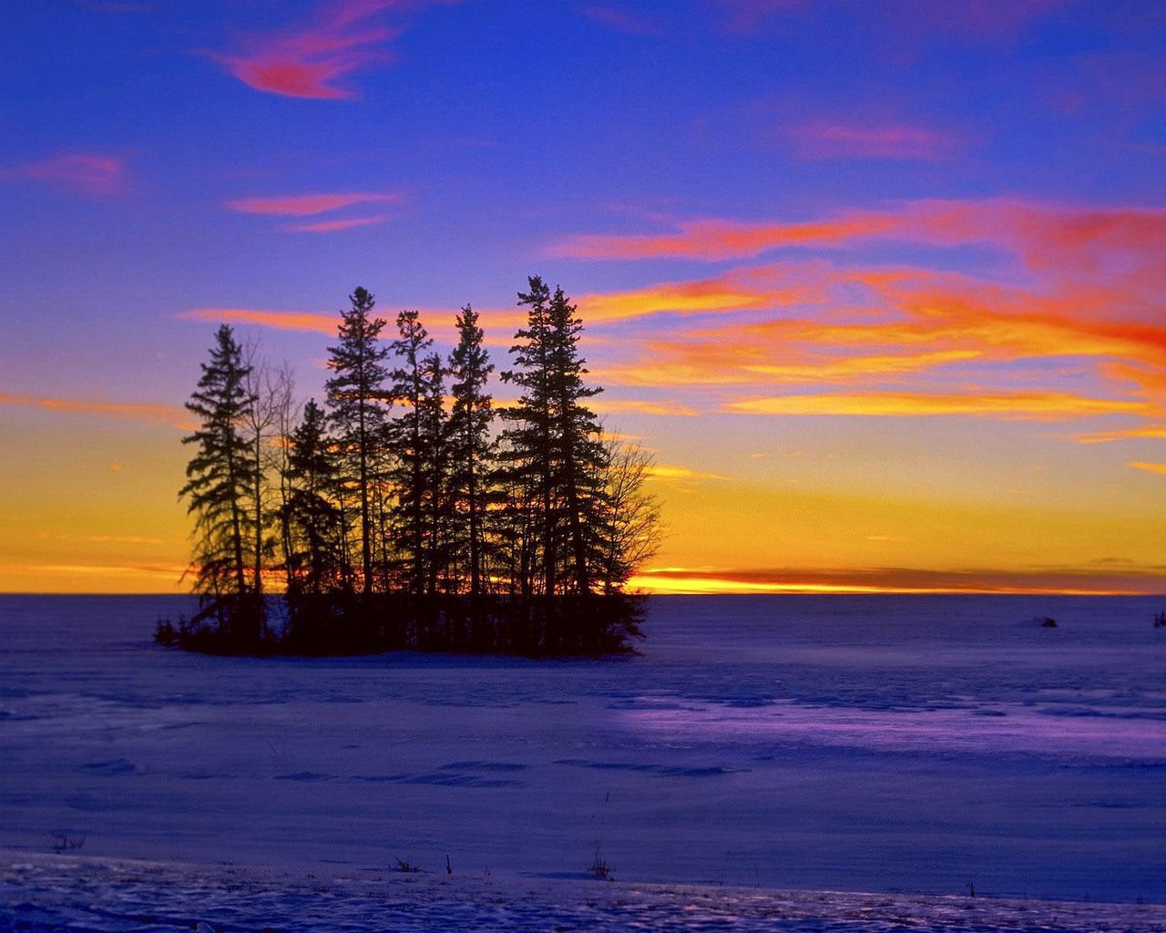 river, winter, trees, ice, islet