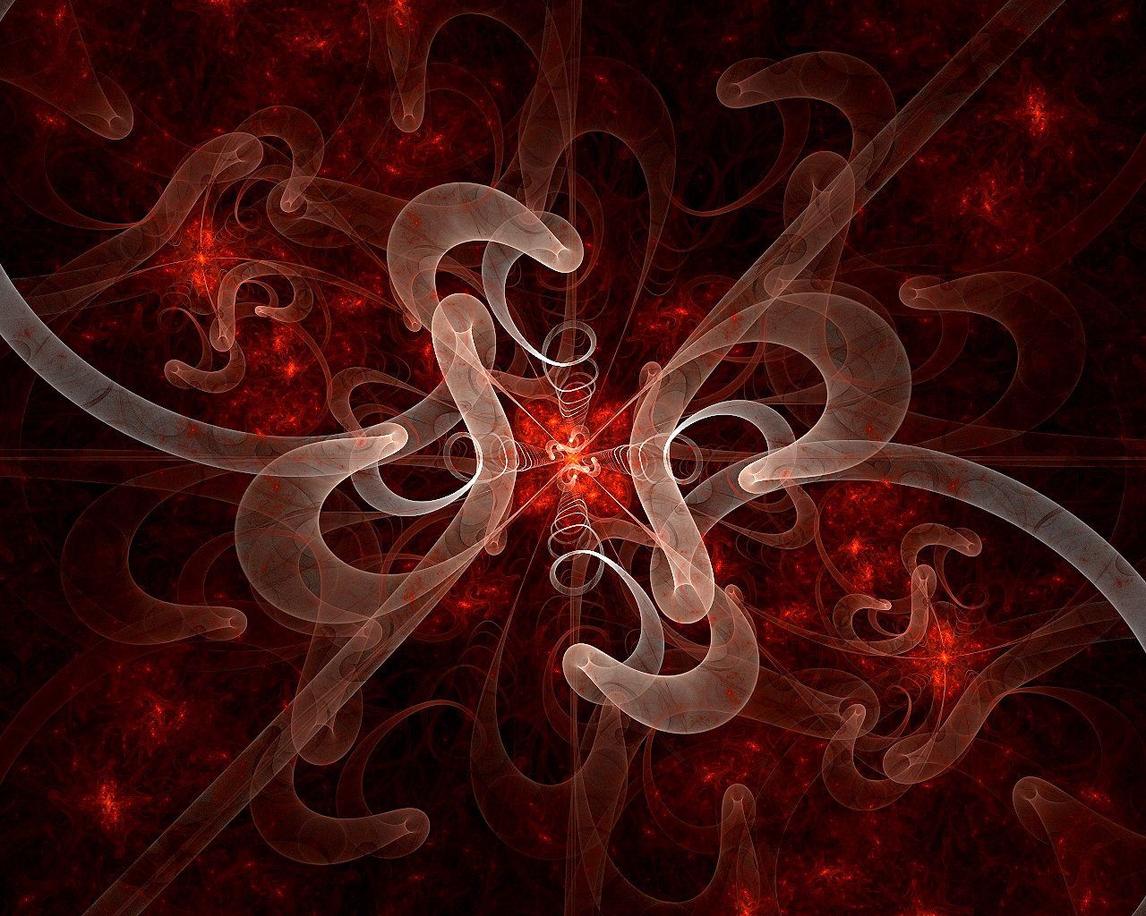 abstraction, bloom, red, white, fractal