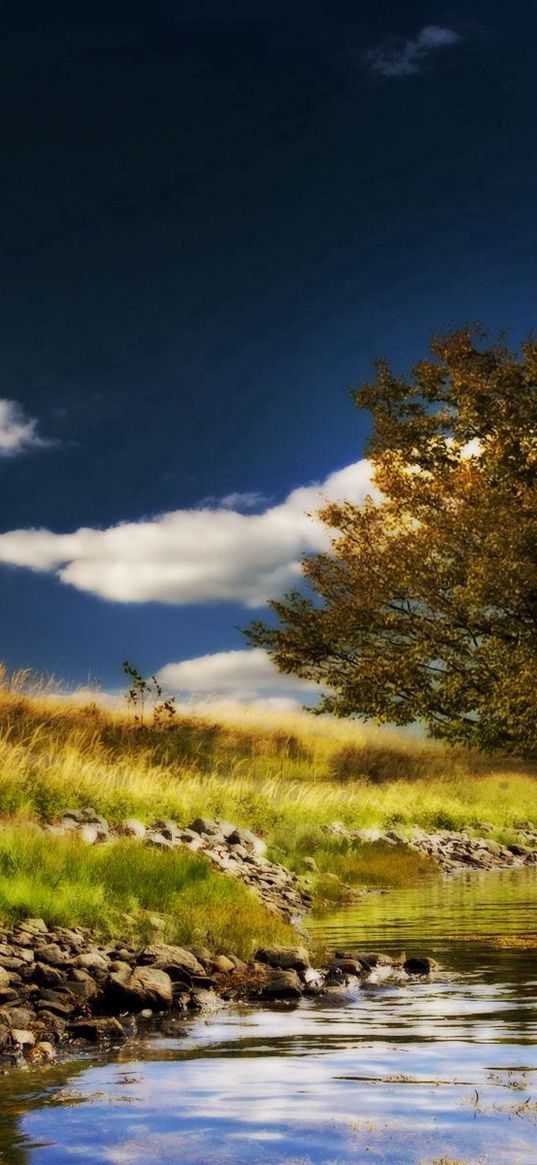 tree, lake, stones, coast, lonely, paints, colors, signature