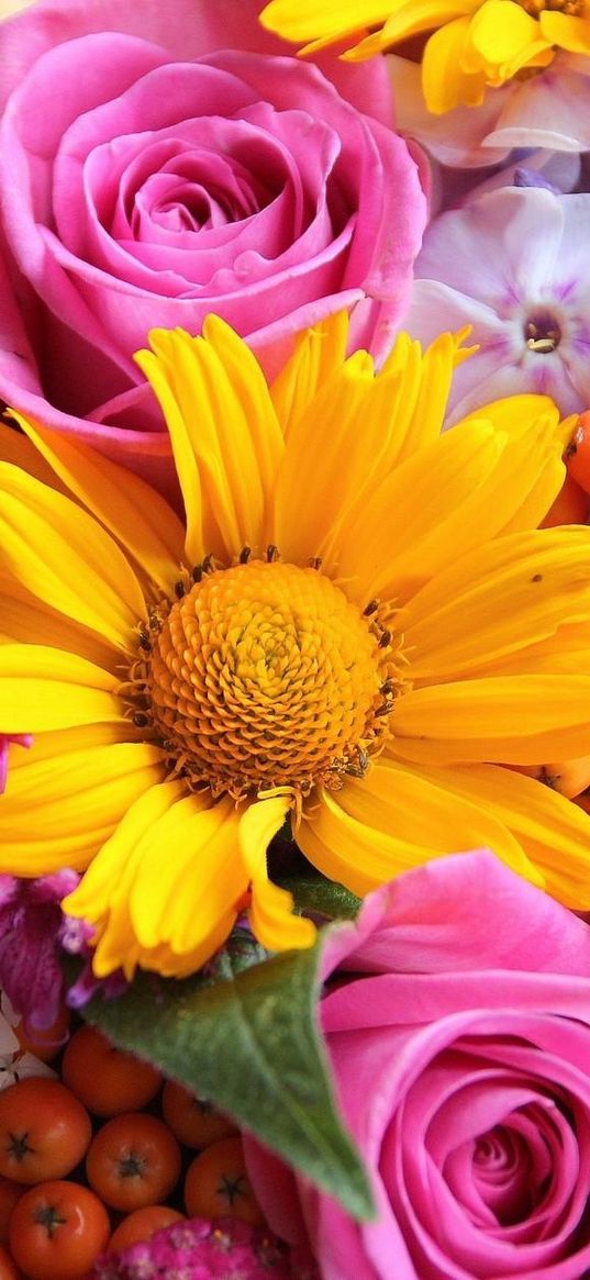 roses, gerbera, phlox, rowan, bunch, close-up